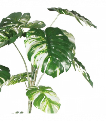210cm Variegated Monstera Realistic Artificial Tree