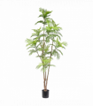 240cm Spiny Date Palm Realistic Artificial Tree