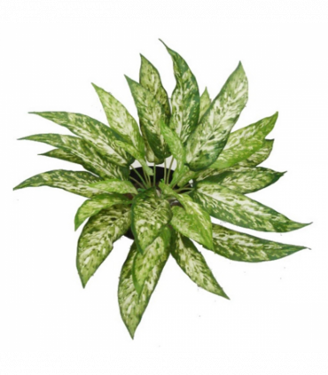 Pack of 6 x 45cm Fire Retardant Artificial Aglaonema Bush