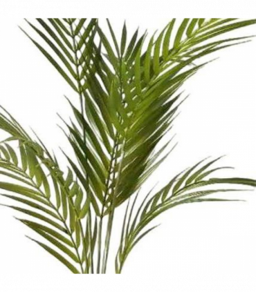 70cm Artificial Areca Palm Tree
