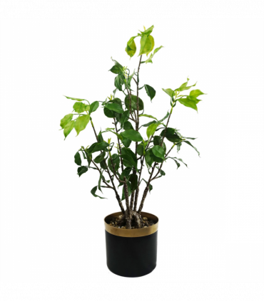 60cm Artificial Banyan Bonsai Ficus Tree