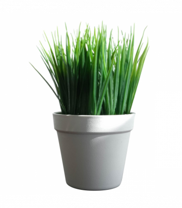 Pack of 6 x 22cm Artificial Grass Plant