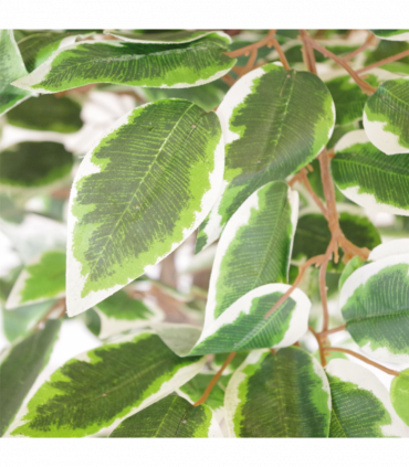 130cm LARGE Realistic White Edge Ficus Artificial Plant Tree Gold Metal Planter