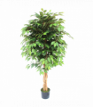 150cm Artificial Ficus Tree