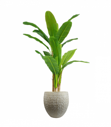 43cm Inoke Embossed Large Stone Colour Composite Planter Plant Pot
