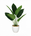 45cm Artificial Aureum Plant