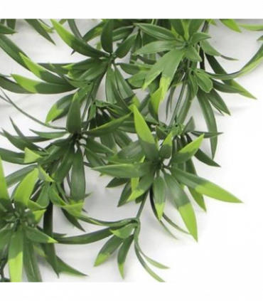 Hanging UV and Fire Resistant Artificial Fronded Thyme Plant 70cm