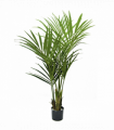 150cm Artificial Kentia Palm Tree