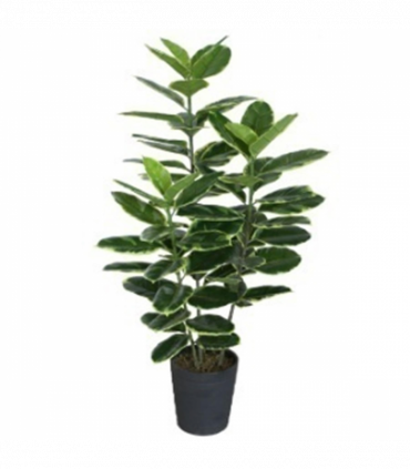 120cm Artificial Rubber Tree