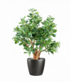 70cm Artificial Deluxe Jade Plant