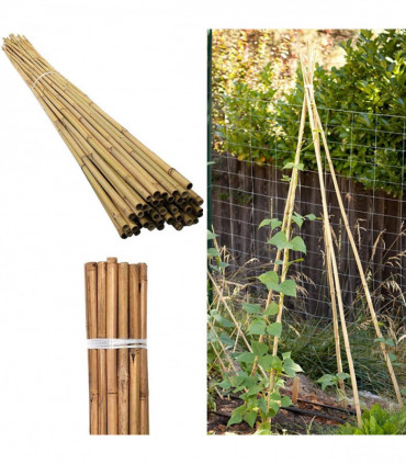 10 x 2ft (60cm) Bamboo canes