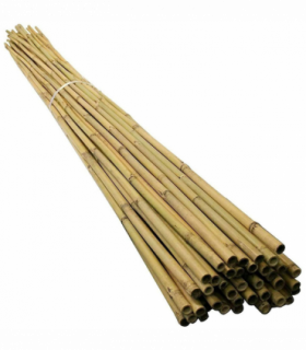 10 x 4FT Bamboo Canes Sticks 120cm
