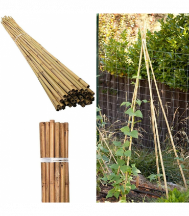 Garden Canes 6FT (180cm) Pack of 10 Natural Bamboo Versatile for Various Uses