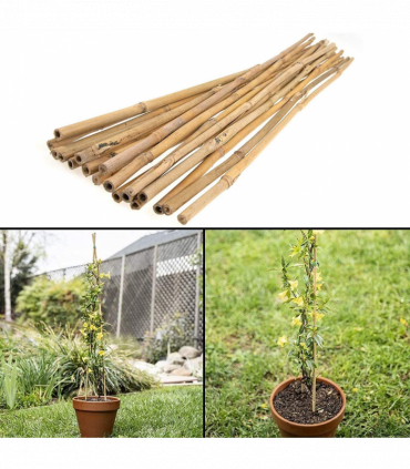 Garden Canes 6FT (180cm) Pack of 10 Natural Bamboo Versatile for Various Uses