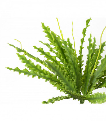 Artificial Crocodile Fern Plant
