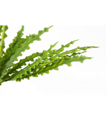 Artificial Crocodile Fern Plant