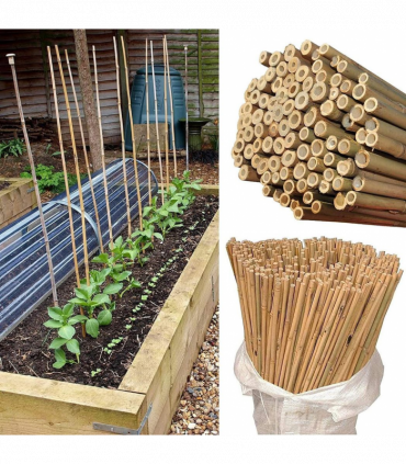 20 x 3FT Bamboo Canes Sticks 90CM