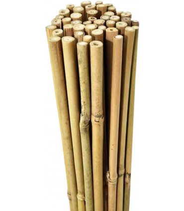Bamboo 6FT (180cm) Natural Brown Garden Canes 20 x 6FT (180cm) Bamboo Canes
