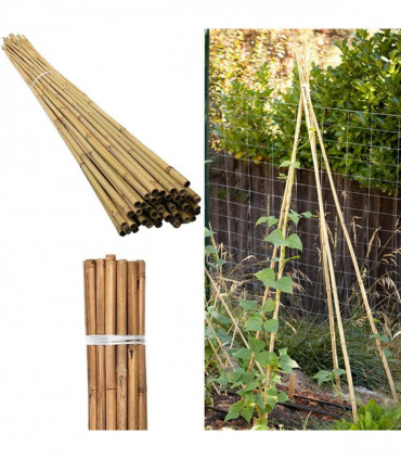 Bamboo 4ft (120 cm) Garden Canes Natural Bamboo 10-12 mm Thickness