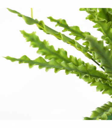 Artificial Crocodile Fern Plant Green 40cm Wired Stems Realistic Replica