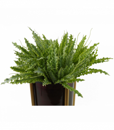 Artificial Crocodile Fern Plant Green 40cm Wired Stems Realistic Replica