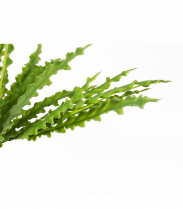 Artificial Crocodile Fern Plant Green 40cm Wired Stems Realistic Replica