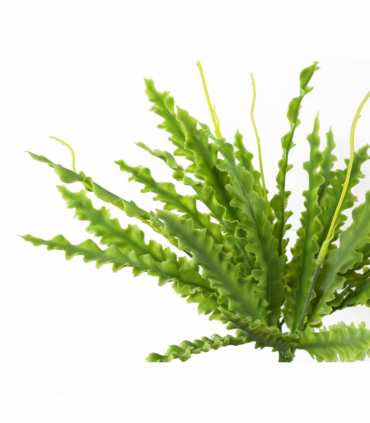 Artificial Crocodile Fern Plant Green 40cm Wired Stems Realistic Replica
