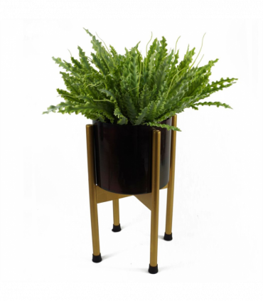 Artificial Crocodile Fern Plant Green 40cm Wired Stems Realistic Replica