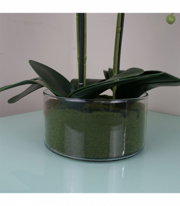 50cm Artificial Orchid with Glass Planter Pink
