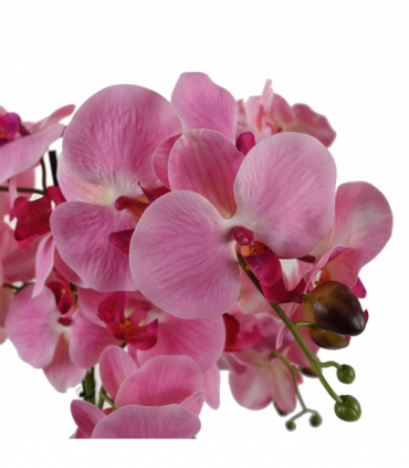 50cm Artificial Orchid with Glass Planter Pink