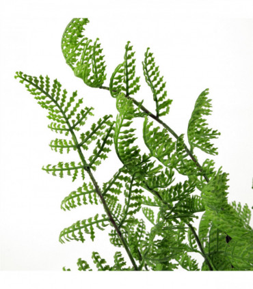 Artificial Plant Pack of 6 x 50cm Southern Wood Fern Bush Dark Green Bare Stem