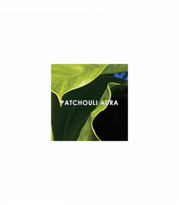 Britney Spears Believe Eau de Parfum Spray 30ml