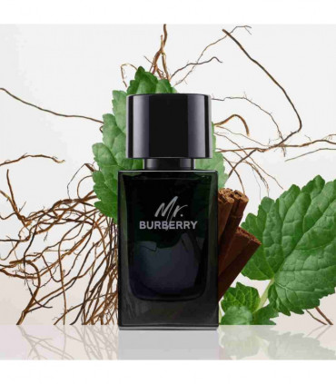 Burberry Mr Burberry Eau De Parfum Spray 50ml