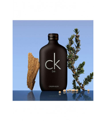 Calvin Klein CK BE Eau De Toilette Spray 200ML