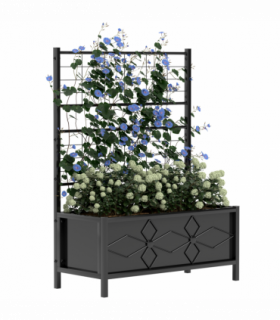 Durable Trellis Support for Climbing Plants - Enhance Garden Aesthetics