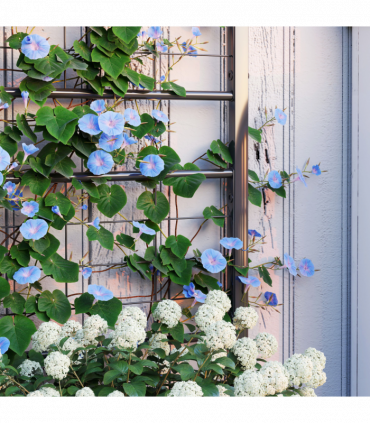 Durable Trellis Support for Climbing Plants - Enhance Garden Aesthetics