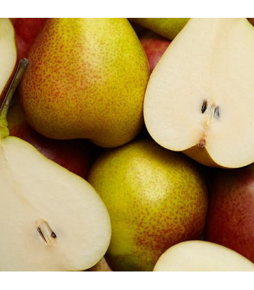 Escada Especially Escada Eau De Parfum Spray 75ml