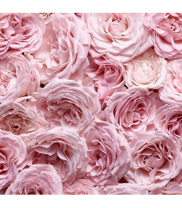 Escada Especially Escada Eau De Parfum Spray 75ml