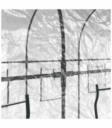 Greenhouse Transparent 161x398x188 cm PVC&Powder-coated Steel