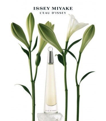 Issey Miyake L'eau D'issey Pour Femme Eau de Toilette Spray 100ml