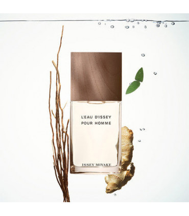 Issey Miyake Vetiver Eau De Toilette Spray 50ml