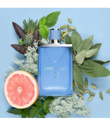 Jimmy Choo Man Aqua Eau De Toilette Spray 30ml