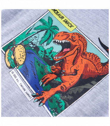 Kids' T-shirt Grey 92