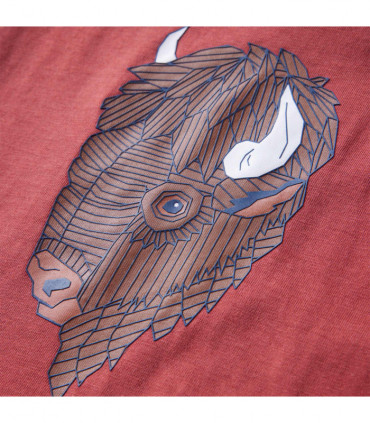 Kids' T-shirt with Long Sleeves Burnt Red 116