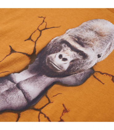 Kids' T-shirt with Long Sleeves Dark Ochre 92