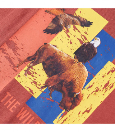 Kids' T-shirt with Long Sleeves Henna 92