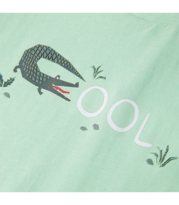 Kids' T-shirt with Short Sleeves Light Green 104