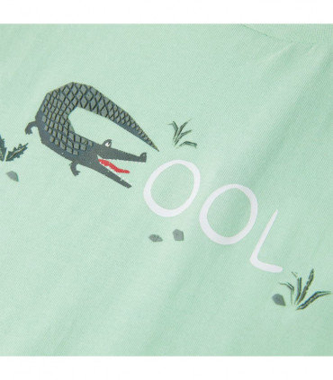 Kids' T-shirt with Short Sleeves Light Green 116