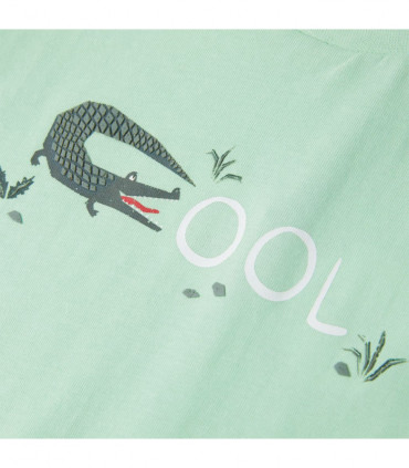 Kids' T-shirt with Short Sleeves Light Green 128