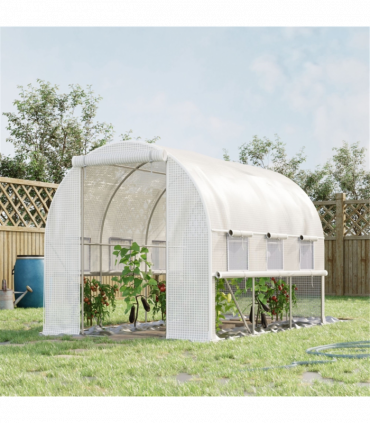 Mini Walk-in Greenhouse